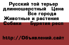 Русский той-терьер длинношерстный › Цена ­ 7 000 - Все города Животные и растения » Собаки   . Бурятия респ.